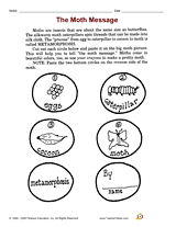 The Moth Message