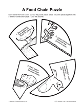 A Food Chain Puzzle